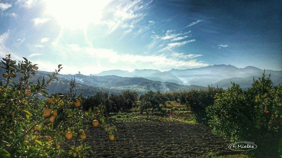 Гостевой дом La Carrihuela Альгодоналес Экстерьер фото